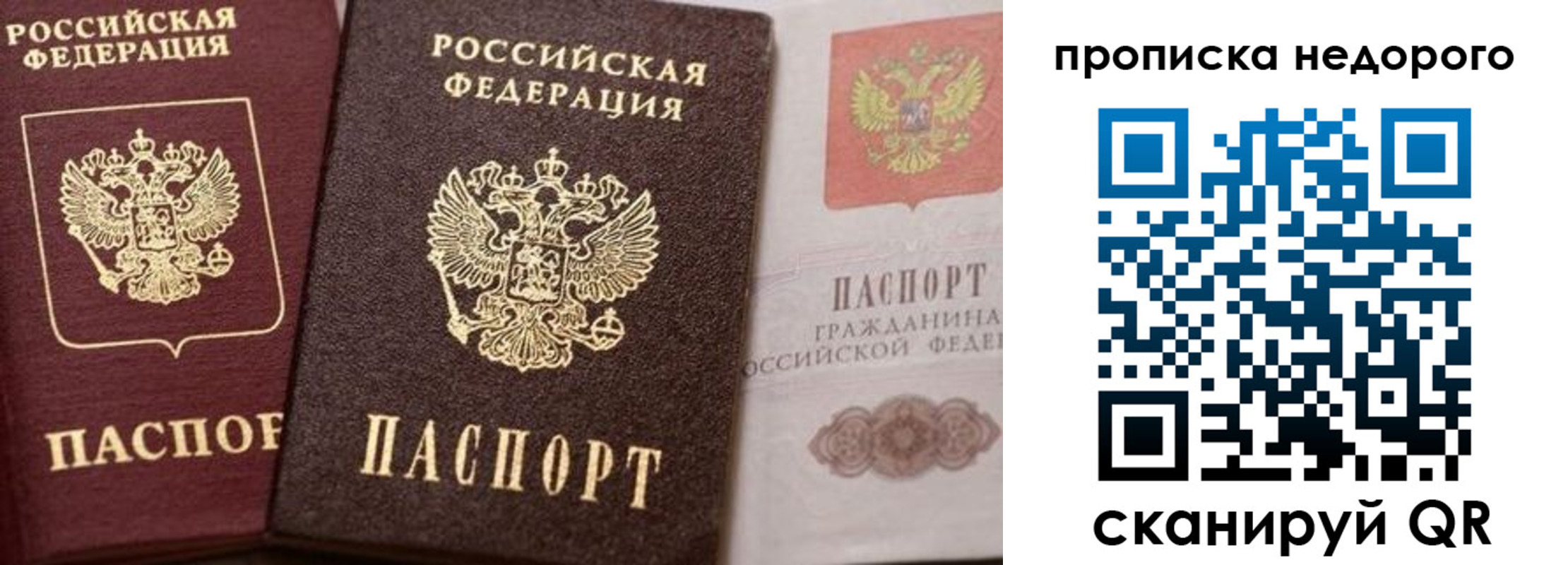 временная регистрация надежно в Кингисеппе