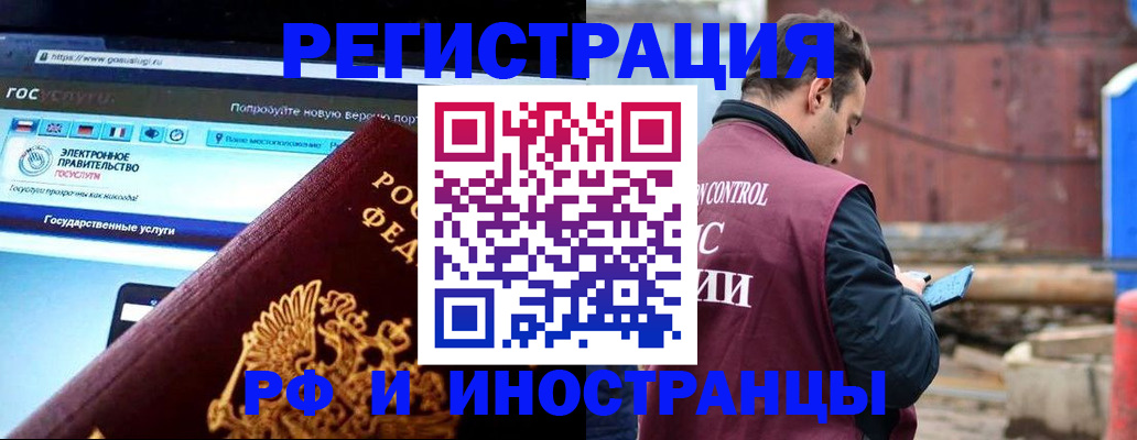прописка поиск в Кингисеппе